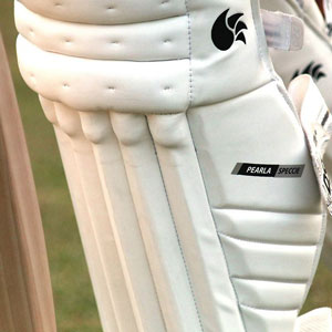 Leg Guards Gear