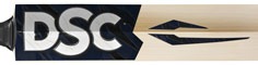 Condor Bats